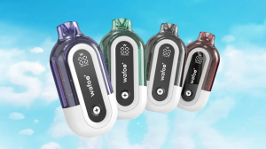 Les meilleurs vapeurs rechargeables peuvent-ils correspondre au nombre de puffes des meilleurs jetables