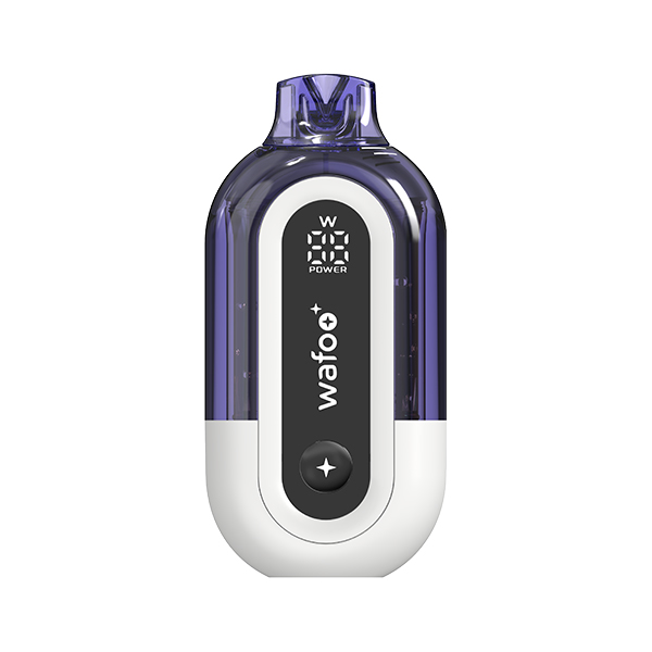 Top Disposable Vape Picks of 2026 What Makes the Best Stand Out