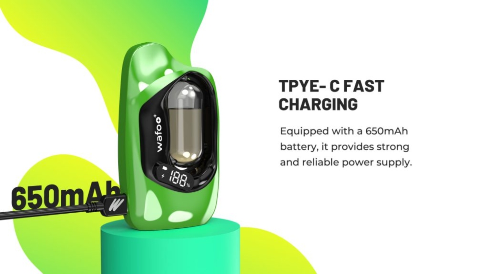 Fast Charging